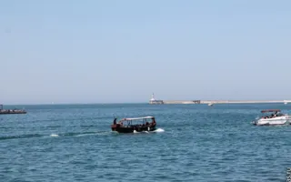 Одесские захватчики севастопольского дельфинария эвакуировались морем, опасаясь мести тех, кого они травили газом и заливали водой 