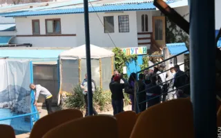 Одесские захватчики севастопольского дельфинария эвакуировались морем, опасаясь мести тех, кого они травили газом и заливали водой 