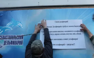 Одесские захватчики севастопольского дельфинария эвакуировались морем, опасаясь мести тех, кого они травили газом и заливали водой 