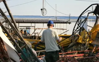 Люди Булатова снесли четыре бара на пляже в парке Победы