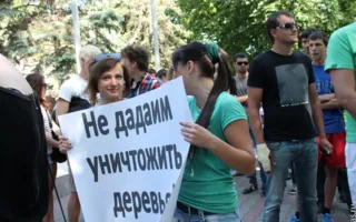 «Не ДАДАИМ уничтожить деревья!» В Севастополе митинговали против неудовлетворительного состояния Приморского бульвара