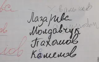 Новый Общественный совет при СГГА спустя 4,5 часа какофонии выбрал нового председателя. Им стала Елена Херсонская