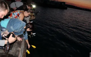 В Севастополе от рассвета до заката проводили митинги-реквиемы, приуроченные годовщине начала Великой Отечественной войны