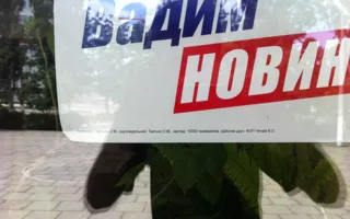 Белоцерковец подал жалобу в ЦИК на Новинского за развешенные в школе агитматериалы