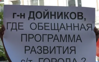 «Нет НАТО!», «Нет конюшне!» — пикеты под горсоветом Севастополя
