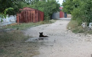 Отчаявшиеся жители улицы Полоцкая вышли на сход 