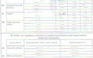 Новинский обнародовал свои доходы