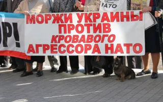 Антинатовские пикетчики на понятном для «оккупантов» языке объясняли, почему им надо убираться вон 