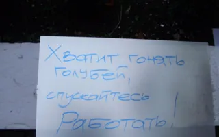 В Севастополе активисты-антизастройщики пикетировали СГГА
