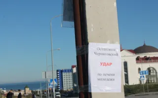 Офицеры СС пикетировали семинар «УДАРа». Белоцерковец увидел в этом «руку регионалов»
