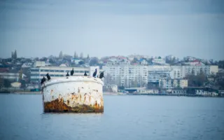 Собрание «моржей» в Севастополе