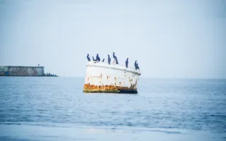 Собрание «моржей» в Севастополе