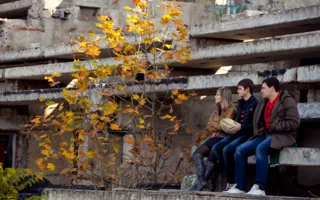В Севастополе состоялся «Кубок поколений» по регби