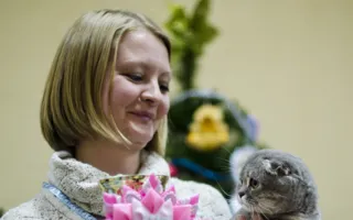 В Севастополе подвели итоги Международной выставки кошек «Рождественские встречи»