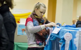 В Севастополе подвели итоги Международной выставки кошек «Рождественские встречи»