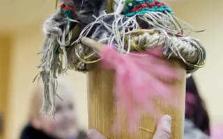 В Севастополе подвели итоги Международной выставки кошек «Рождественские встречи»