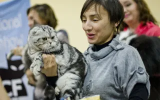 В Севастополе подвели итоги Международной выставки кошек «Рождественские встречи»