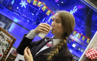 Открылась новогодняя выставка «Artizzavr-2013»