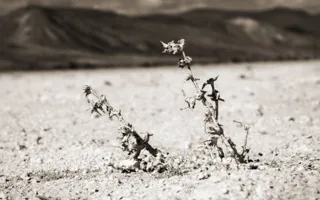 Севастопольские фотографы из народного фотоклуба «Бриг» представили свои лучшие работы