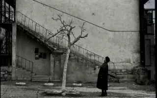 Чёрно-белое фотоискусство Виталия Фоменко на выставке «Рок-н-ролл на рассвете»