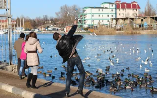 Неравнодушные севастопольцы подкармливают птиц на пляже «Омега»