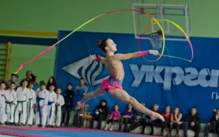 Севастопольские спортсмены достойно выступили на XV открытом турнире по карате-до