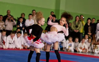 Севастопольские спортсмены достойно выступили на XV открытом турнире по карате-до