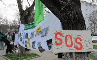 Севастопольские анархисты провели акцию «Нет экологической катастрофе»