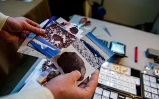 Уникальную экспозицию метеоритов севастопольцы смогли увидеть на выставке-ярмарке «Крым самоцветный»
