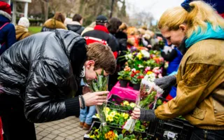 Цветочная выставка в последний зимний месяц подарила городу весну