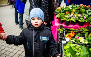 Цветочная выставка в последний зимний месяц подарила городу весну
