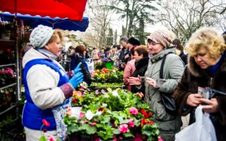 Цветочная выставка в последний зимний месяц подарила городу весну