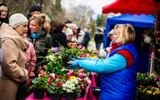 Цветочная выставка в последний зимний месяц подарила городу весну