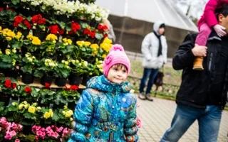 Цветочная выставка в последний зимний месяц подарила городу весну