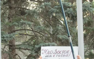  В Севастополе на митинге решили объявить бойкот «Океану Эльзы»