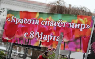 «Красота спасёт мир!»: в Севастополе открылась цветочная выставка, посвящённая Международному женскому дню