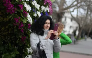 «Красота спасёт мир!»: в Севастополе открылась цветочная выставка, посвящённая Международному женскому дню