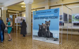 В Севастополе открылась фотовыставка «Дикая природа России — 2013»