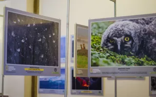 В Севастополе открылась фотовыставка «Дикая природа России — 2013»