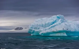 В Севастополе открылась фотовыставка «Дикая природа России — 2013»