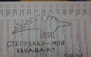 Испорченные бюллетени: Украина выбирала Кадырова, Путина и секс