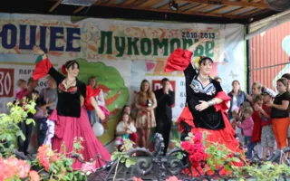 Благотворительный концерт в День защиты детей в детском парке «Лукоморье»