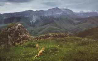 Фотовыставка «Дикая природа России — 2013» вновь в Севастополе
