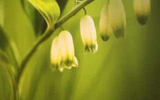 Фотовыставка «Дикая природа России — 2013» вновь в Севастополе
