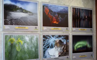Фотовыставка «Дикая природа России — 2013» вновь в Севастополе