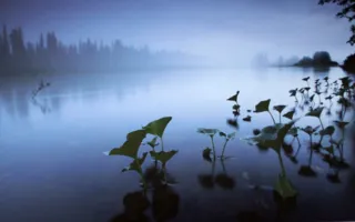Фотовыставка «Дикая природа России — 2013» вновь в Севастополе