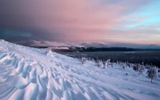 Фотовыставка «Дикая природа России — 2013» вновь в Севастополе