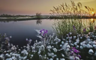 Фотовыставка «Дикая природа России — 2013» вновь в Севастополе