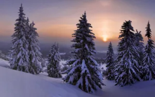 Фотовыставка «Дикая природа России — 2013» вновь в Севастополе