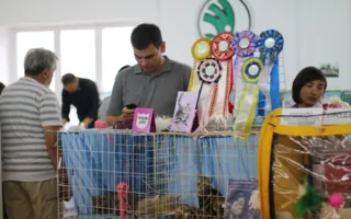 В Севастополе завершилась выставка кошек «Кубок Херсонеса — 2014»